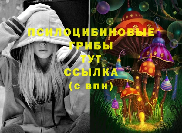 мдпв Баксан