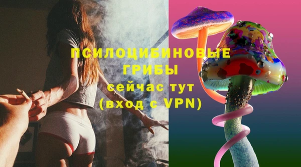 прущая мука Арсеньев