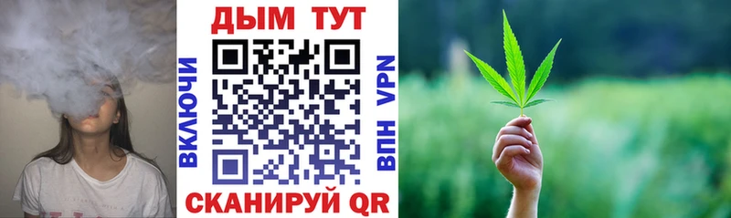 Каннабис план  Купить закладки  Дзержинский 
